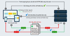 How does SSL work
