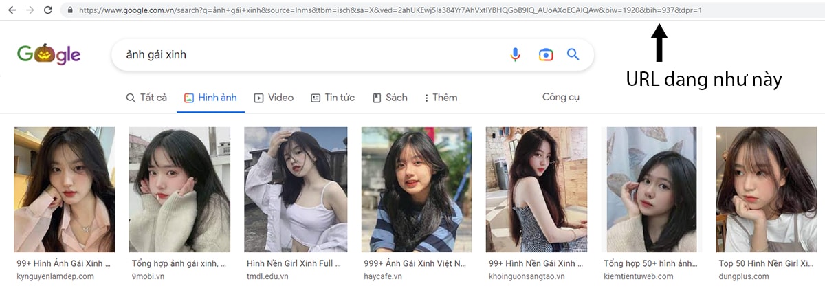 Tìm kiếm hình ảnh lớn trên Google
